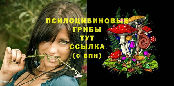соль ск Богородицк