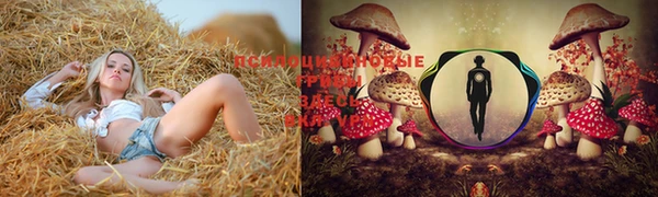 синтетический гашиш Богданович